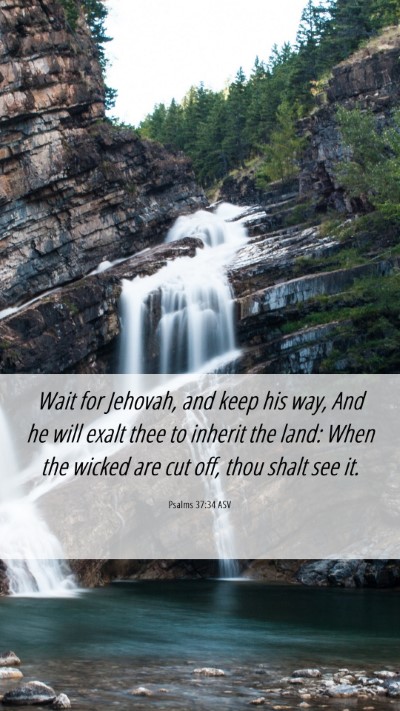 Picture 06 - Psalms 37:34 ASV Mobile Phone Wallpaper - Wait for Jehovah, and keep his way, And he will - Mobile Bible Verse Wallpaper