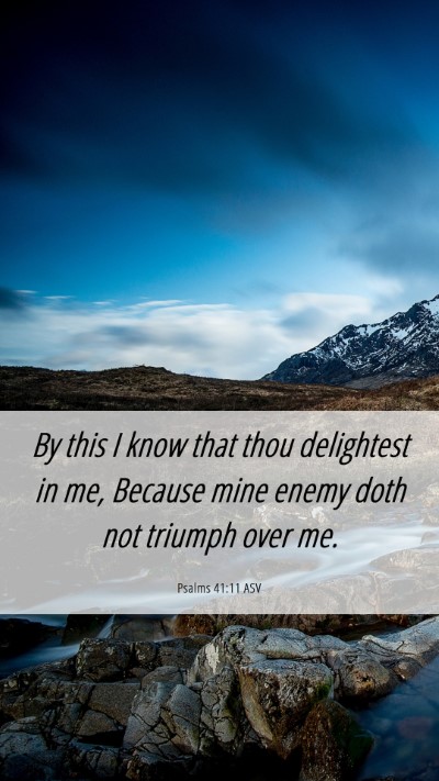 Picture 06 - Psalms 41:11 ASV Mobile Phone Wallpaper - By this I know that thou delightest in me, - Mobile Bible Verse Wallpaper