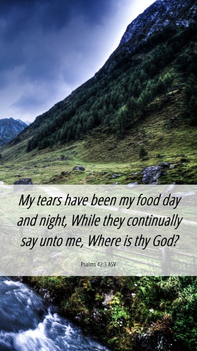 Picture 06 - Psalms 42:3 ASV Mobile Phone Wallpaper - My tears have been my food day and night, While - Mobile Bible Verse Wallpaper