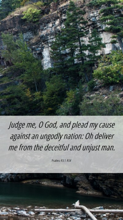 Picture 06 - Psalms 43:1 ASV Mobile Phone Wallpaper - Judge me, O God, and plead my cause against an - Mobile Bible Verse Wallpaper