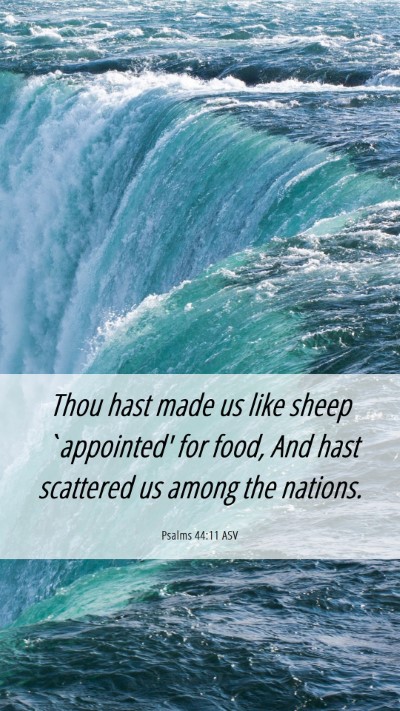Picture 06 - Psalms 44:11 ASV Mobile Phone Wallpaper - Thou hast made us like sheep `appointed' for - Mobile Bible Verse Wallpaper