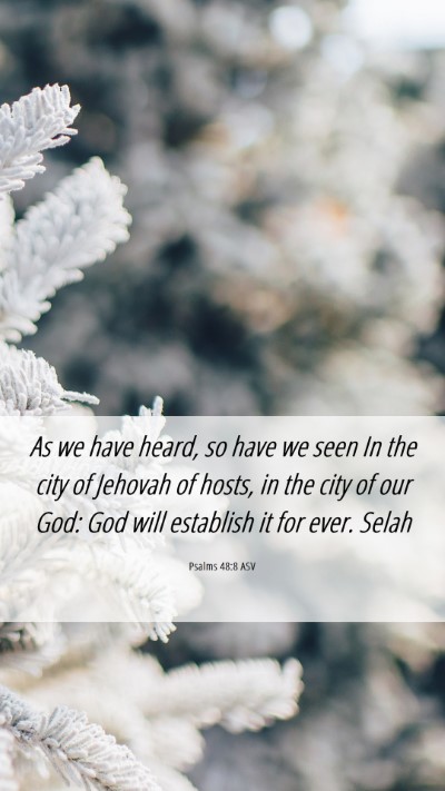 Picture 06 - Psalms 48:8 ASV Mobile Phone Wallpaper - As we have heard, so have we seen In the city of - Mobile Bible Verse Wallpaper