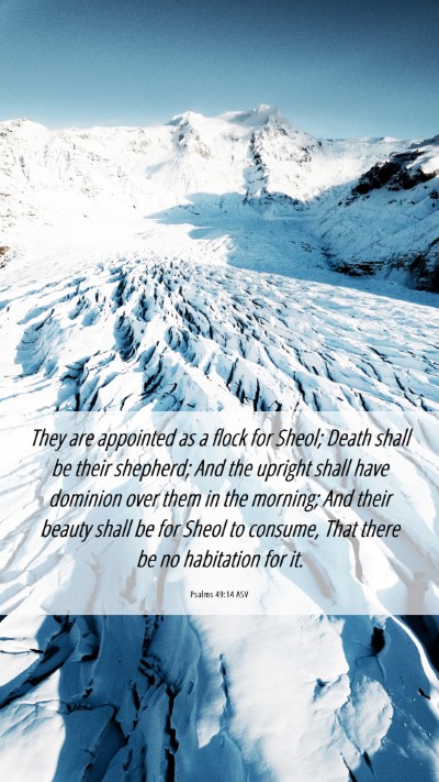 Picture 06 - Psalms 49:14 ASV Mobile Phone Wallpaper - They are appointed as a flock for Sheol; Death - Mobile Bible Verse Wallpaper