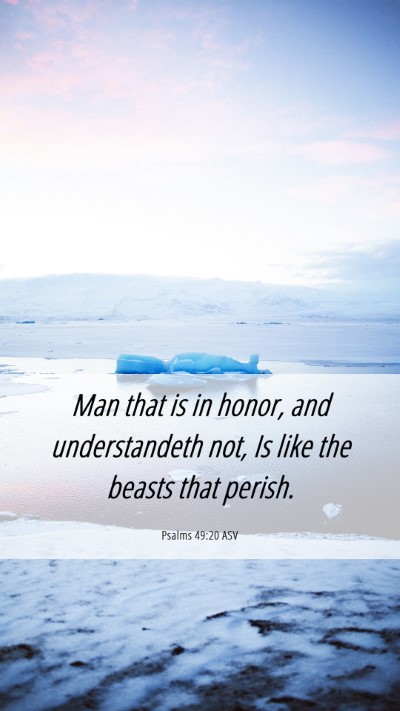 Picture 06 - Psalms 49:20 ASV Mobile Phone Wallpaper - Man that is in honor, and understandeth not, Is - Mobile Bible Verse Wallpaper