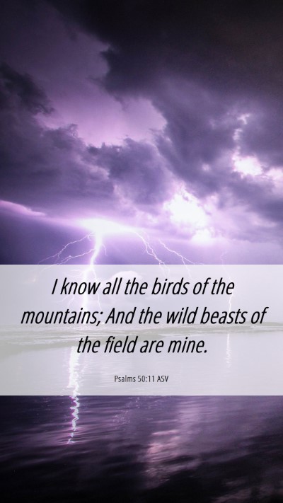 Picture 06 - Psalms 50:11 ASV Mobile Phone Wallpaper - I know all the birds of the mountains; And the - Mobile Bible Verse Wallpaper