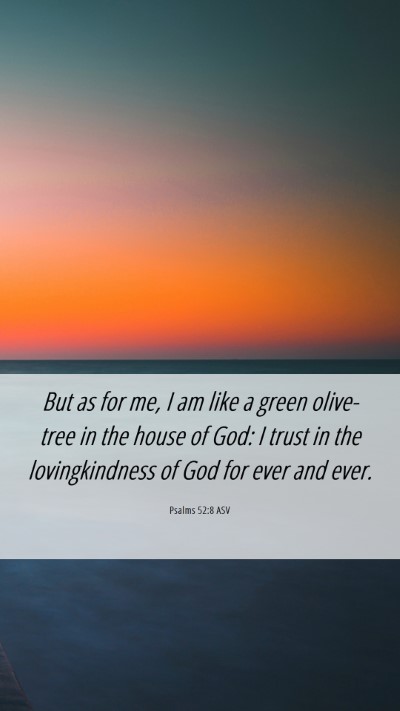 Picture 06 - Psalms 52:8 ASV Mobile Phone Wallpaper - But as for me, I am like a green olive-tree in - Mobile Bible Verse Wallpaper
