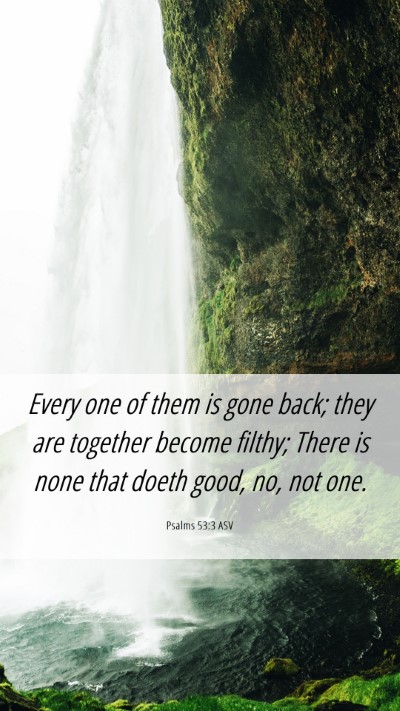 Picture 06 - Psalms 53:3 ASV Mobile Phone Wallpaper - Every one of them is gone back; they are together - Mobile Bible Verse Wallpaper