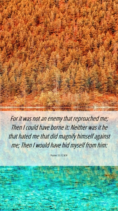 Picture 06 - Psalms 55:12 ASV Mobile Phone Wallpaper - For it was not an enemy that reproached me; Then - Mobile Bible Verse Wallpaper