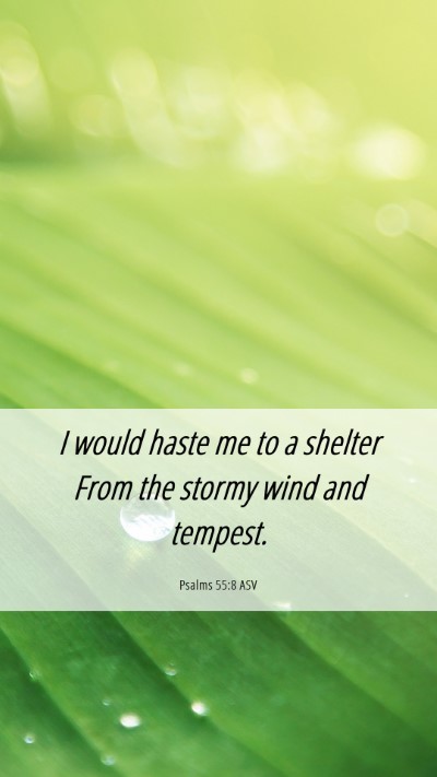 Picture 06 - Psalms 55:8 ASV Mobile Phone Wallpaper - I would haste me to a shelter From the stormy - Mobile Bible Verse Wallpaper