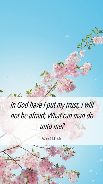 Picture 06 - Psalms 56:11 ASV Mobile Phone Wallpaper - In God have I put my trust, I will not be afraid; - Mobile Bible Verse Wallpaper