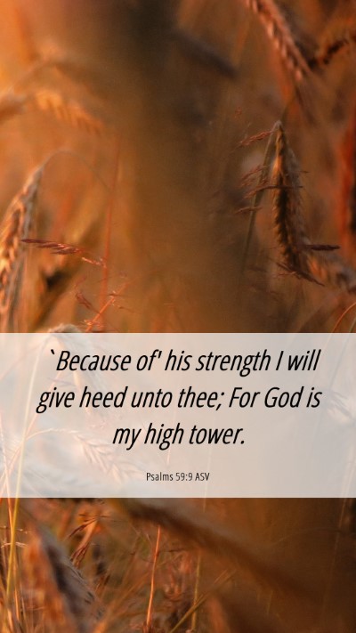 Picture 06 - Psalms 59:9 ASV Mobile Phone Wallpaper - `Because of' his strength I will give heed unto - Mobile Bible Verse Wallpaper