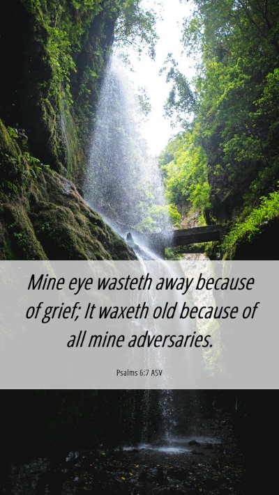Picture 06 - Psalms 6:7 ASV Mobile Phone Wallpaper - Mine eye wasteth away because of grief; It waxeth - Mobile Bible Verse Wallpaper