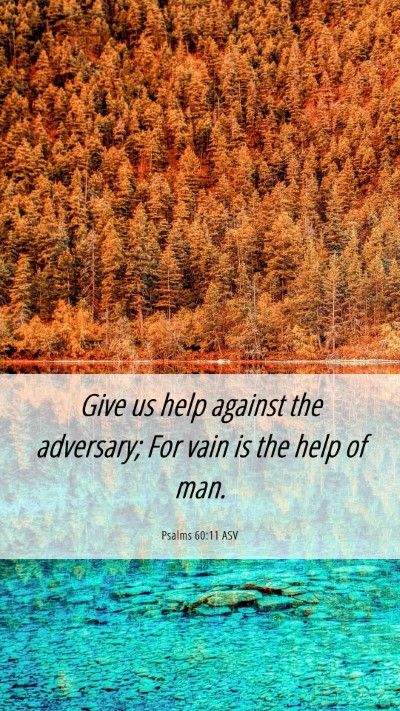 Picture 06 - Psalms 60:11 ASV Mobile Phone Wallpaper - Give us help against the adversary; For vain is - Mobile Bible Verse Wallpaper