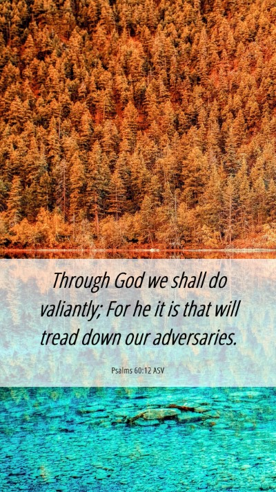 Picture 06 - Psalms 60:12 ASV Mobile Phone Wallpaper - Through God we shall do valiantly; For he it is - Mobile Bible Verse Wallpaper