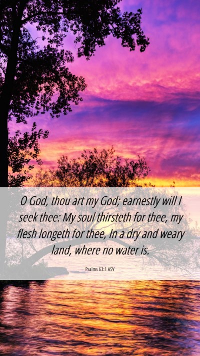 Picture 06 - Psalms 63:1 ASV Mobile Phone Wallpaper - O God, thou art my God; earnestly will I seek - Mobile Bible Verse Wallpaper