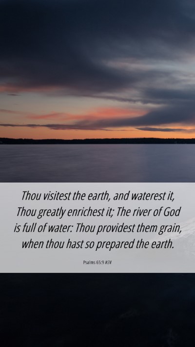 Picture 06 - Psalms 65:9 ASV Mobile Phone Wallpaper - Thou visitest the earth, and waterest it, Thou - Mobile Bible Verse Wallpaper