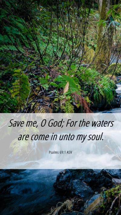 Picture 06 - Psalms 69:1 ASV Mobile Phone Wallpaper - Save me, O God; For the waters are come in unto - Mobile Bible Verse Wallpaper