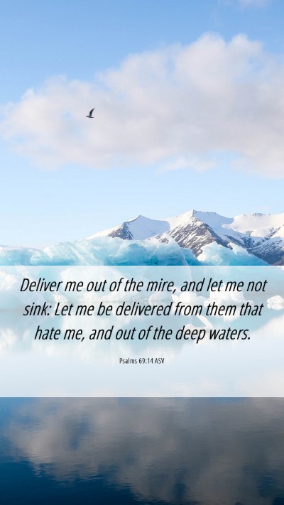 Picture 06 - Psalms 69:14 ASV Mobile Phone Wallpaper - Deliver me out of the mire, and let me not sink: - Mobile Bible Verse Wallpaper