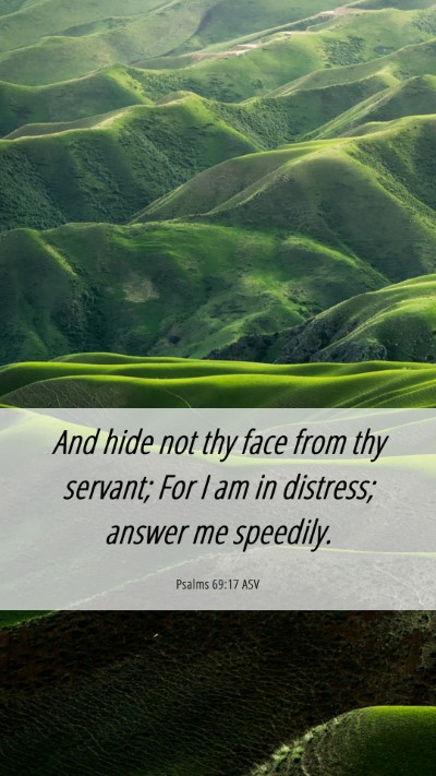 Picture 06 - Psalms 69:17 ASV Mobile Phone Wallpaper - And hide not thy face from thy servant; For I am - Mobile Bible Verse Wallpaper
