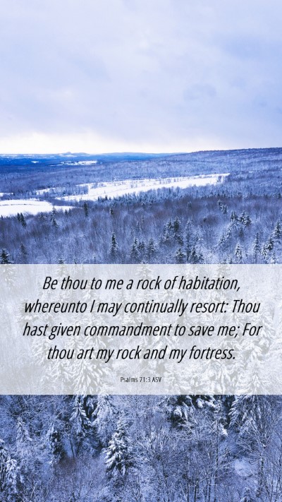 Picture 06 - Psalms 71:3 ASV Mobile Phone Wallpaper - Be thou to me a rock of habitation, whereunto I - Mobile Bible Verse Wallpaper