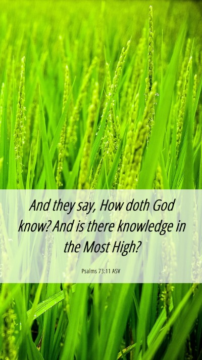 Picture 06 - Psalms 73:11 ASV Mobile Phone Wallpaper - And they say, How doth God know? And is there - Mobile Bible Verse Wallpaper