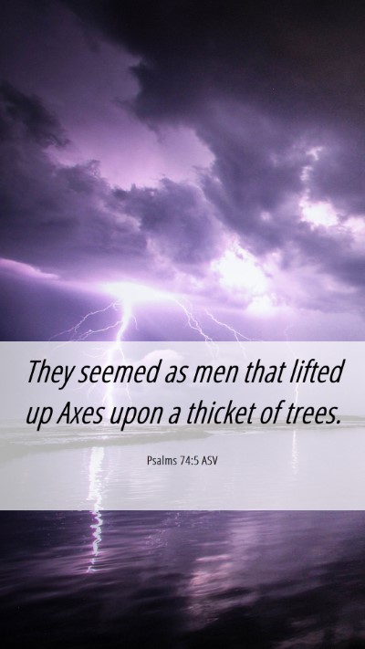 Picture 06 - Psalms 74:5 ASV Mobile Phone Wallpaper - They seemed as men that lifted up Axes upon a - Mobile Bible Verse Wallpaper