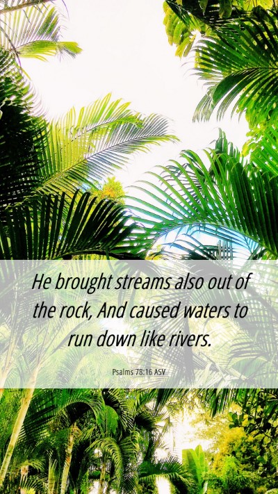 Picture 06 - Psalms 78:16 ASV Mobile Phone Wallpaper - He brought streams also out of the rock, And - Mobile Bible Verse Wallpaper