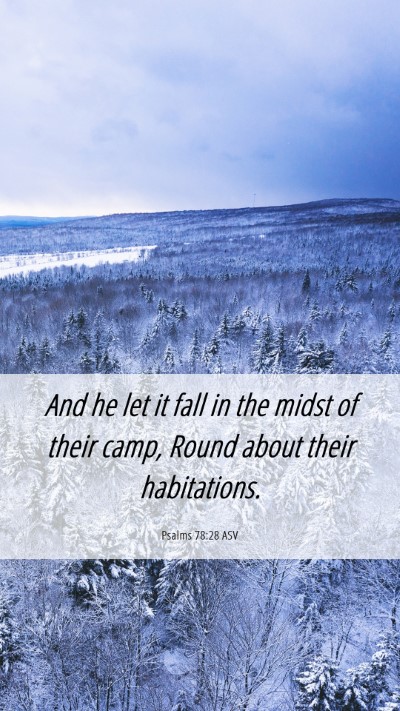 Picture 06 - Psalms 78:28 ASV Mobile Phone Wallpaper - And he let it fall in the midst of their camp, - Mobile Bible Verse Wallpaper