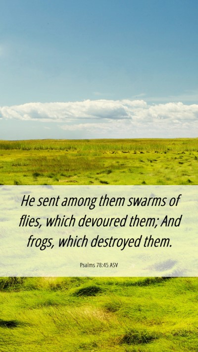 Picture 06 - Psalms 78:45 ASV Mobile Phone Wallpaper - He sent among them swarms of flies, which - Mobile Bible Verse Wallpaper
