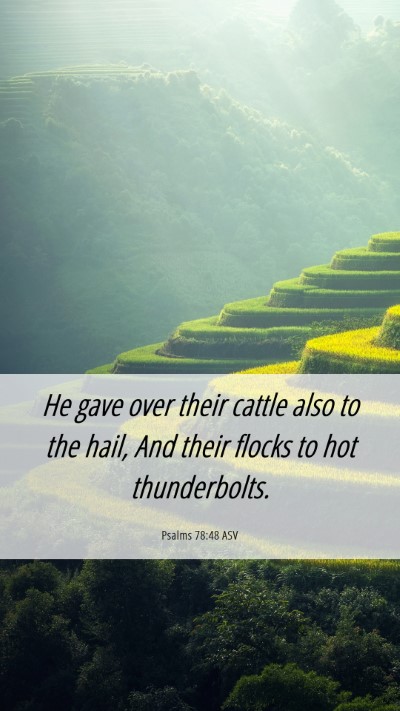 Picture 06 - Psalms 78:48 ASV Mobile Phone Wallpaper - He gave over their cattle also to the hail, And - Mobile Bible Verse Wallpaper