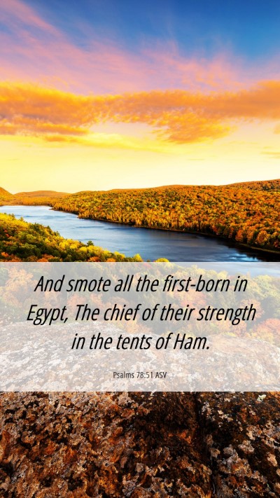 Picture 06 - Psalms 78:51 ASV Mobile Phone Wallpaper - And smote all the first-born in Egypt, The chief - Mobile Bible Verse Wallpaper