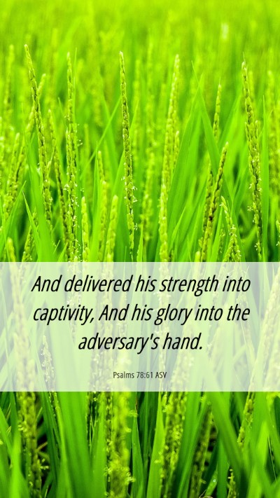 Picture 06 - Psalms 78:61 ASV Mobile Phone Wallpaper - And delivered his strength into captivity, And - Mobile Bible Verse Wallpaper