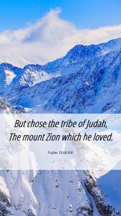 Picture 06 - Psalms 78:68 ASV Mobile Phone Wallpaper - But chose the tribe of Judah, The mount Zion - Mobile Bible Verse Wallpaper