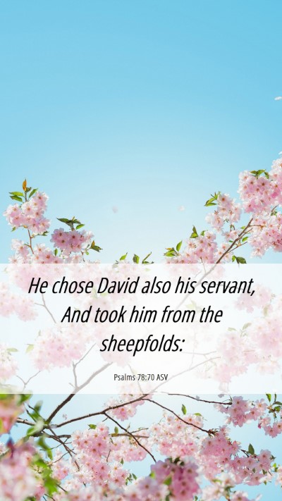 Picture 06 - Psalms 78:70 ASV Mobile Phone Wallpaper - He chose David also his servant, And took him - Mobile Bible Verse Wallpaper