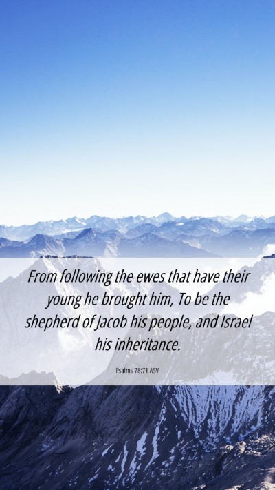 Picture 06 - Psalms 78:71 ASV Mobile Phone Wallpaper - From following the ewes that have their young he - Mobile Bible Verse Wallpaper