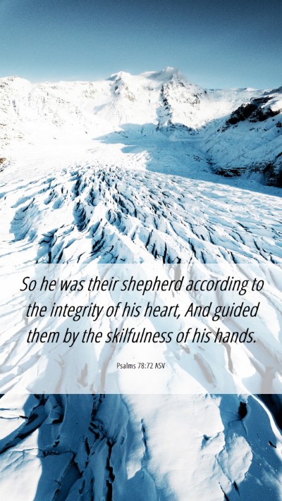Picture 06 - Psalms 78:72 ASV Mobile Phone Wallpaper - So he was their shepherd according to the - Mobile Bible Verse Wallpaper