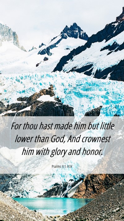 Picture 06 - Psalms 8:5 ASV Mobile Phone Wallpaper - For thou hast made him but little lower than God, - Mobile Bible Verse Wallpaper