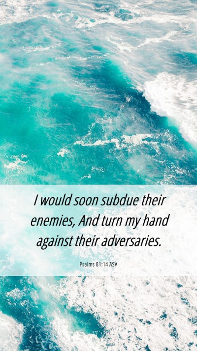 Picture 06 - Psalms 81:14 ASV Mobile Phone Wallpaper - I would soon subdue their enemies, And turn my - Mobile Bible Verse Wallpaper
