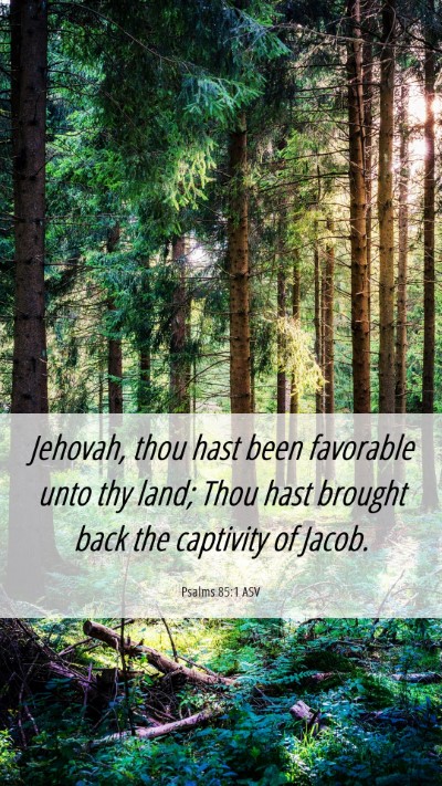 Picture 06 - Psalms 85:1 ASV Mobile Phone Wallpaper - Jehovah, thou hast been favorable unto thy land; - Mobile Bible Verse Wallpaper