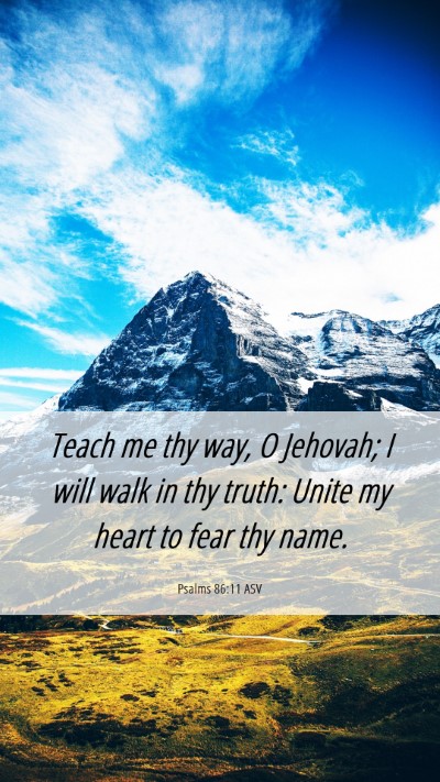 Picture 06 - Psalms 86:11 ASV Mobile Phone Wallpaper - Teach me thy way, O Jehovah; I will walk in thy - Mobile Bible Verse Wallpaper