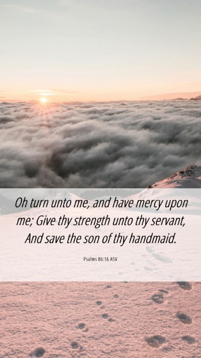 Picture 06 - Psalms 86:16 ASV Mobile Phone Wallpaper - Oh turn unto me, and have mercy upon me; Give thy - Mobile Bible Verse Wallpaper