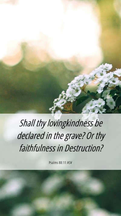 Picture 06 - Psalms 88:11 ASV Mobile Phone Wallpaper - Shall thy lovingkindness be declared in the - Mobile Bible Verse Wallpaper