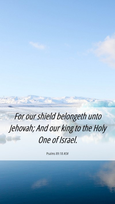 Picture 06 - Psalms 89:18 ASV Mobile Phone Wallpaper - For our shield belongeth unto Jehovah; And our - Mobile Bible Verse Wallpaper