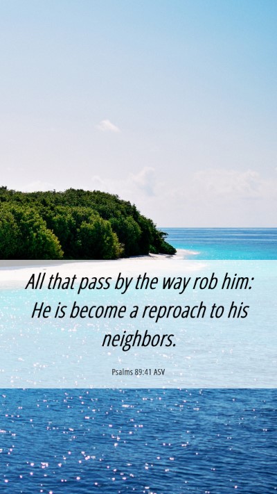 Picture 06 - Psalms 89:41 ASV Mobile Phone Wallpaper - All that pass by the way rob him: He is become a - Mobile Bible Verse Wallpaper