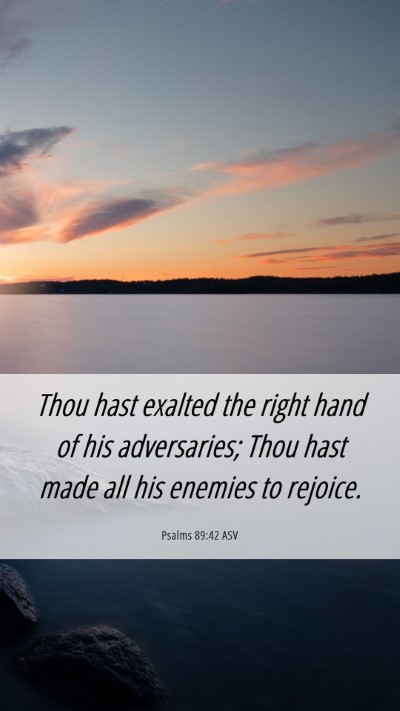 Picture 06 - Psalms 89:42 ASV Mobile Phone Wallpaper - Thou hast exalted the right hand of his - Mobile Bible Verse Wallpaper