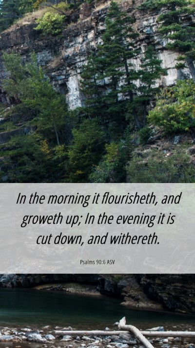Picture 06 - Psalms 90:6 ASV Mobile Phone Wallpaper - In the morning it flourisheth, and groweth up; In - Mobile Bible Verse Wallpaper