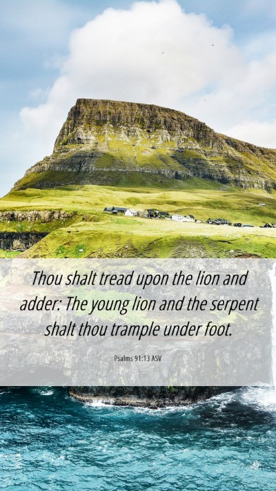 Picture 06 - Psalms 91:13 ASV Mobile Phone Wallpaper - Thou shalt tread upon the lion and adder: The - Mobile Bible Verse Wallpaper