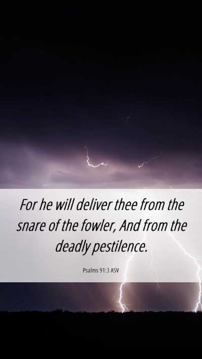 Picture 06 - Psalms 91:3 ASV Mobile Phone Wallpaper - For he will deliver thee from the snare of the - Mobile Bible Verse Wallpaper