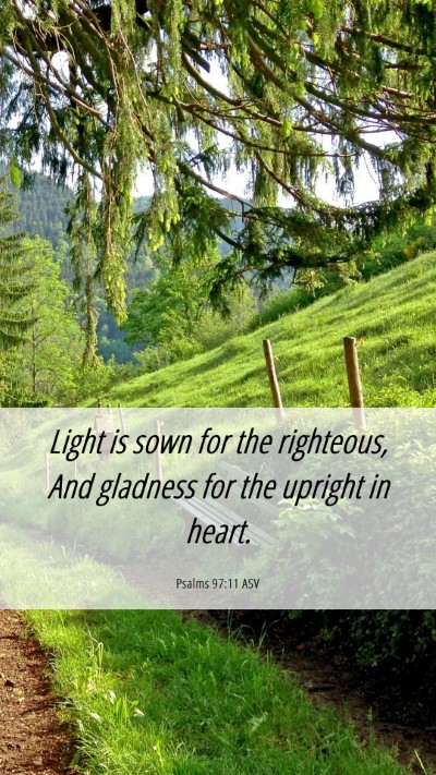 Picture 06 - Psalms 97:11 ASV Mobile Phone Wallpaper - Light is sown for the righteous, And gladness for - Mobile Bible Verse Wallpaper