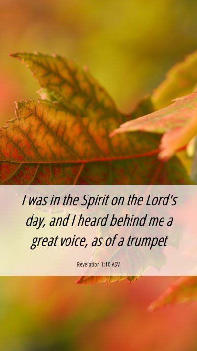Picture 06 - Revelation 1:10 ASV Mobile Phone Wallpaper - I was in the Spirit on the Lord's day, and I - Mobile Bible Verse Wallpaper